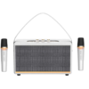 LOA KARAOKE MINI RCLK2124