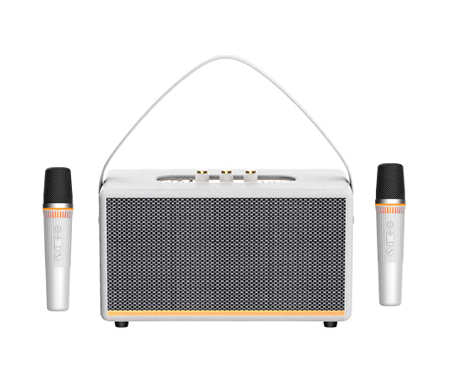 LOA KARAOKE MINI RCLK2124